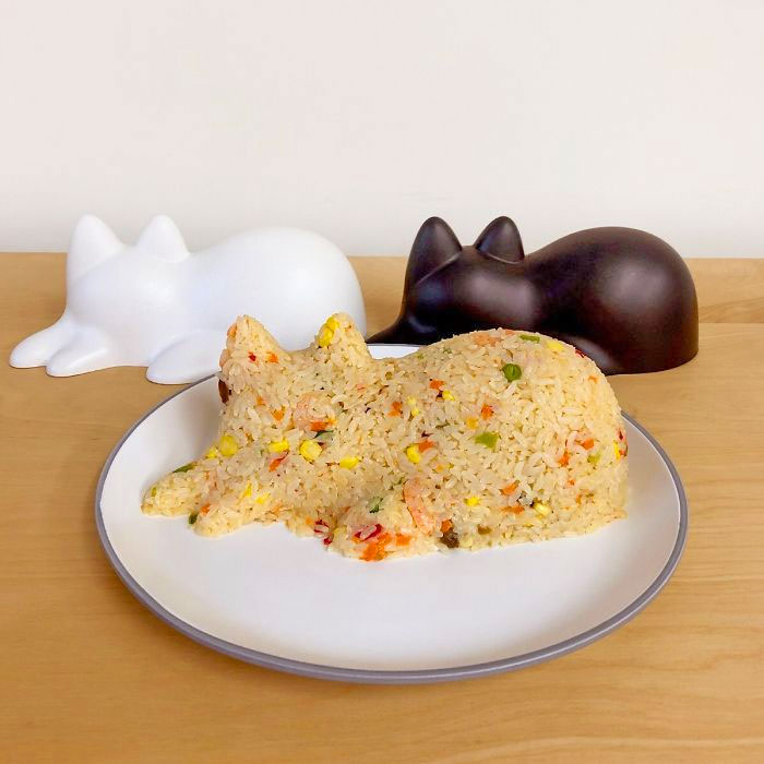 Cat Rice Mold