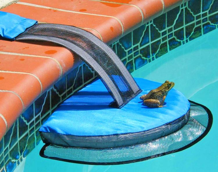 FrogLog Mini Pool Ramp - Frog Log Small critter animals pool ramp helps them to safety