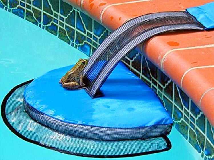 FrogLog Mini Pool Ramp - Frog Log Small critter animals pool ramp helps them to safety