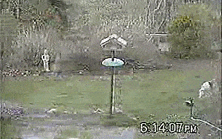 Motion Activated Solar Powered Sprinkler Repeller - Scarecrow sprinkler keeps pests out of yard and garden
