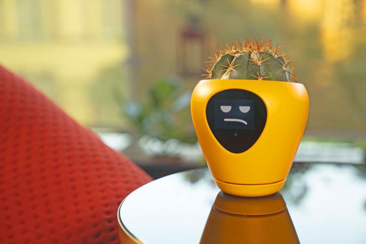 This Smart Planter Will Monitor Your Indoor Plants And It Acts Just Like A Tamagotchi Pet