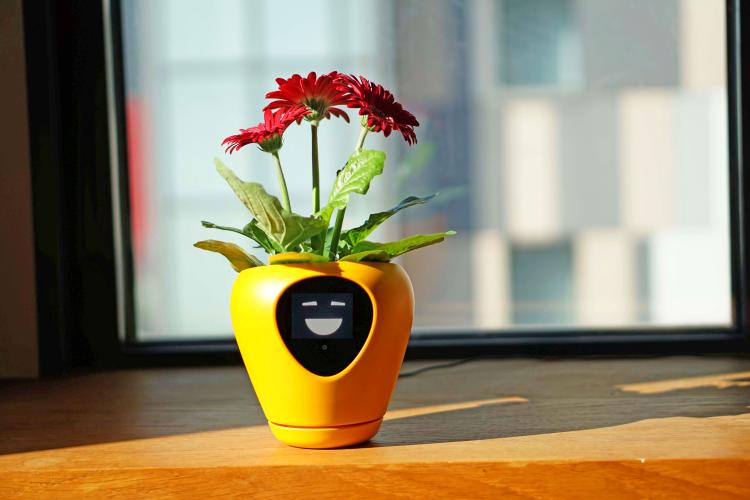 This Smart Planter Will Monitor Your Indoor Plants And It Acts Just Like A Tamagotchi Pet