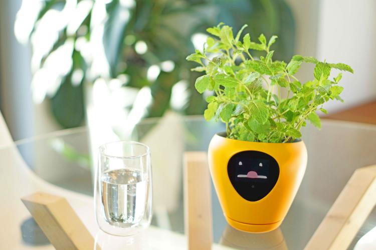 This Smart Planter Will Monitor Your Indoor Plants And It Acts Just Like A Tamagotchi Pet