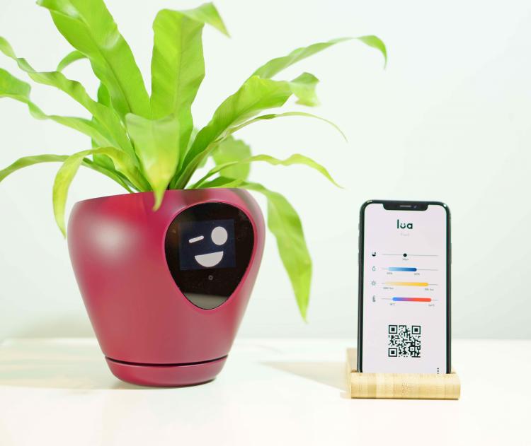 Lua Smart Planter