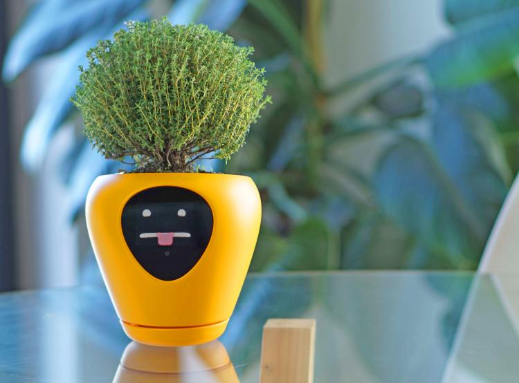 This Smart Planter Will Monitor Your Plants, and It Acts Just Like a Tamagotchi Pet