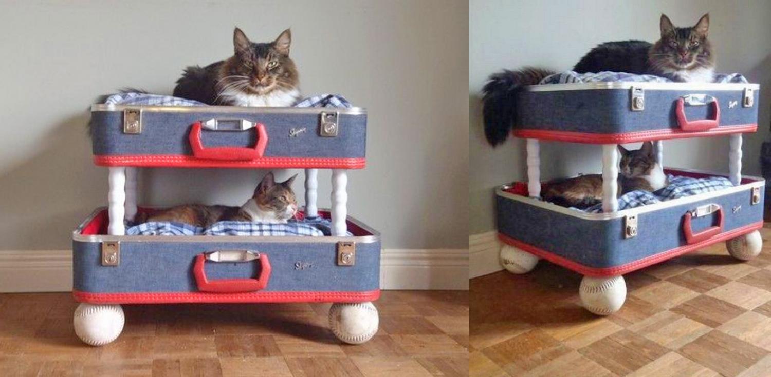 Vintage suitcase cat bunk bed - DIY luggage cat bunk bed