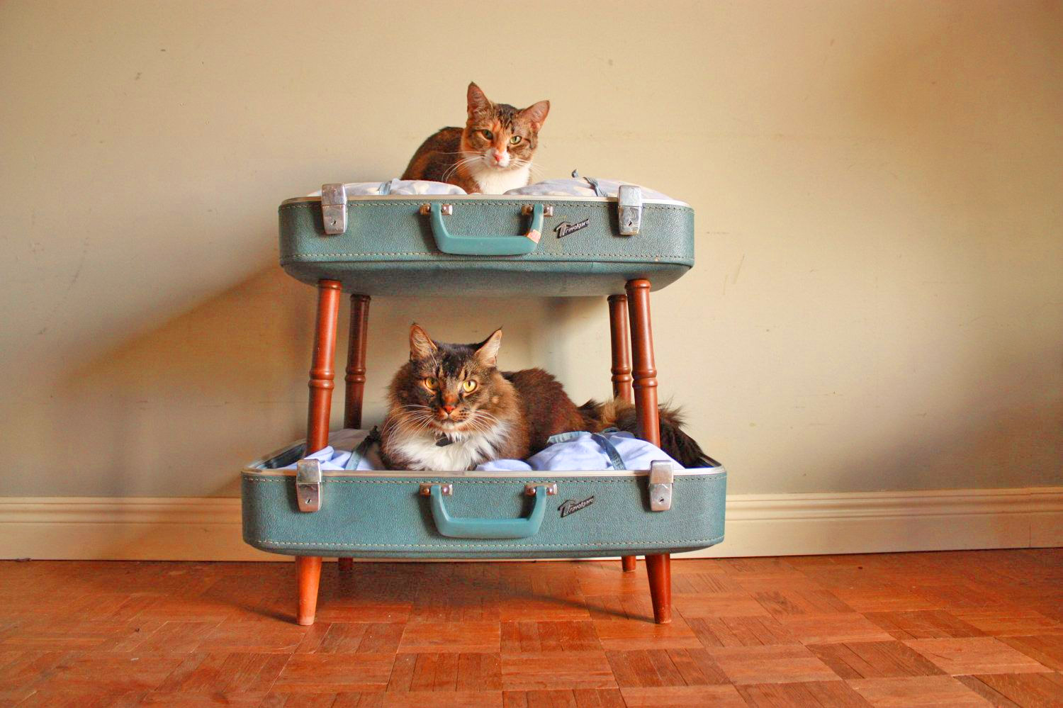 Vintage suitcase cat bunk bed - DIY luggage cat bunk bed