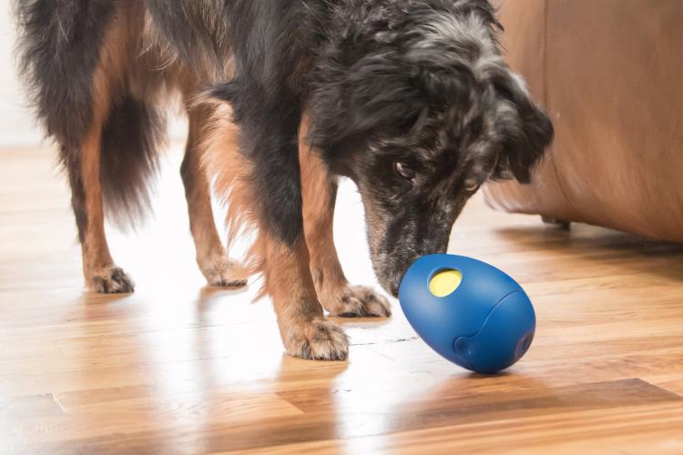 Kong Tikr Timed Release Small Treat Dispensing Dog Toy (No Batteries Needed)