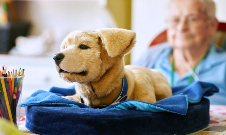 soft toy dog for dementia patients