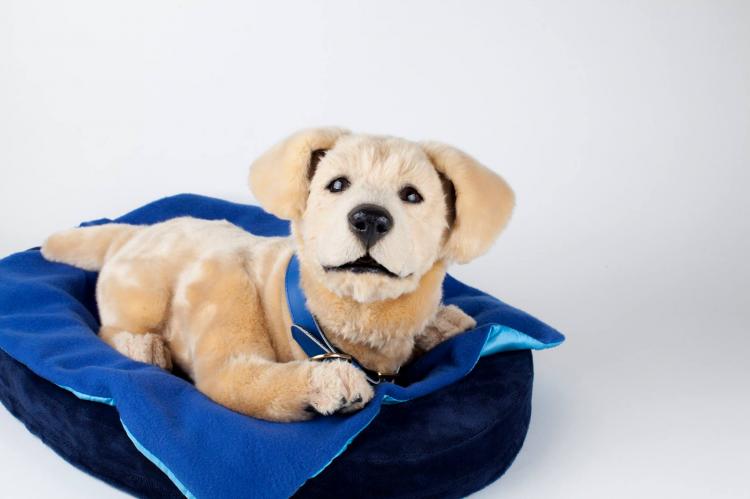 soft toy dog for dementia patients