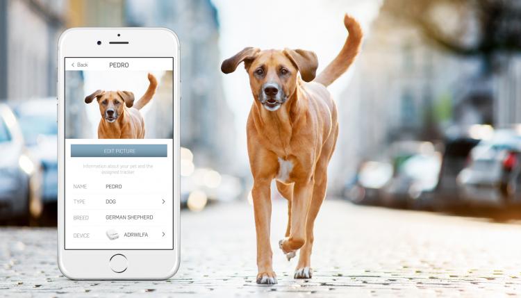 Tractive GPS Dog Tracker