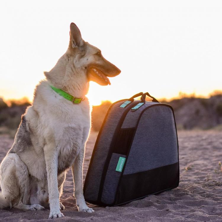 Spruce travel outlet dog bed