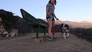Travel Water Bottle For Dogs - Squeeze To Fill Bowl With Water - GIF