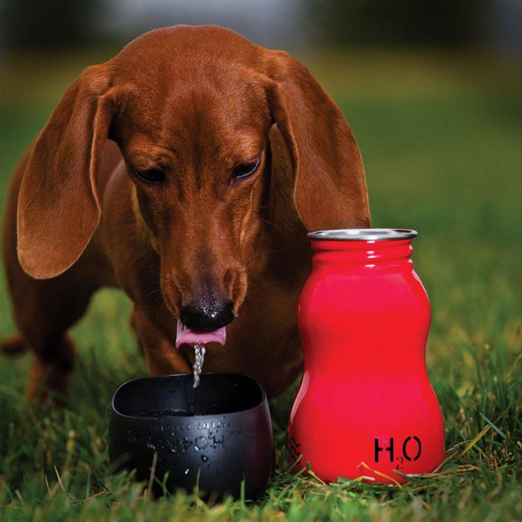 H204k9 water clearance bottle