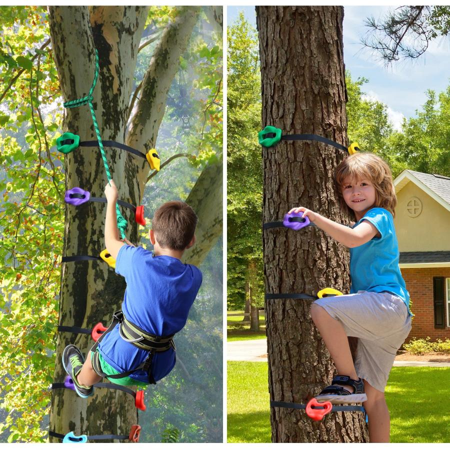 Tree Climbing with Kids :12 Best Tips and Tricks ⋆ Take Them Outside