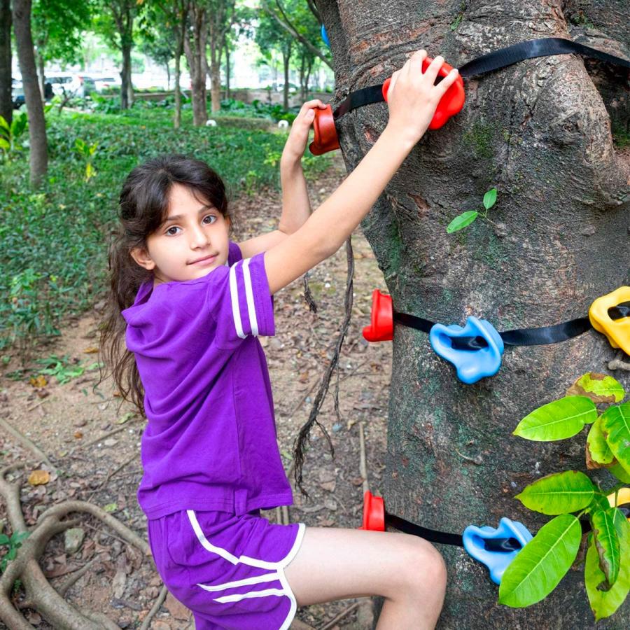 Tree Climbing Holds For Kids
