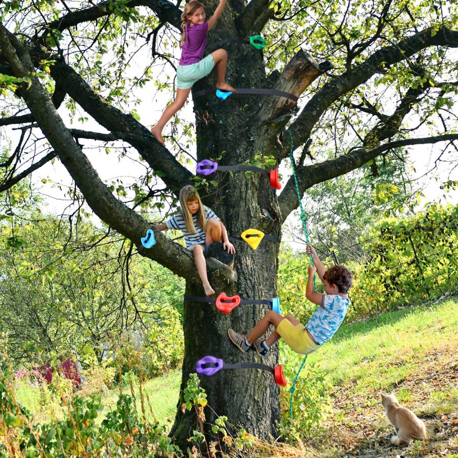 Tree Climbing Holds For Kids