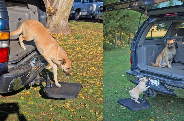 tailgate dog step