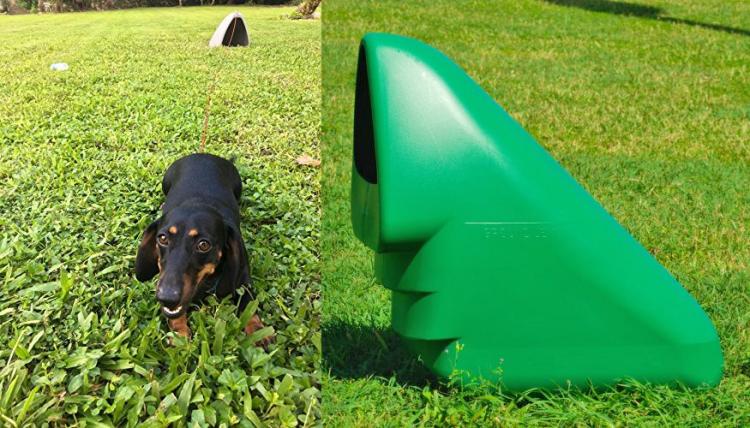 buried dog house