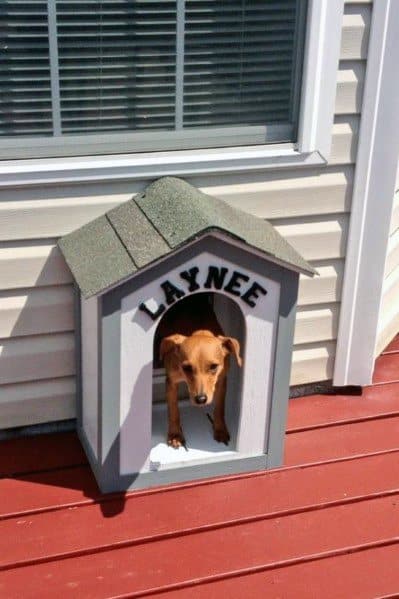 Unique Doggie Door Designs - Cute Doggie Door Design Inspiration