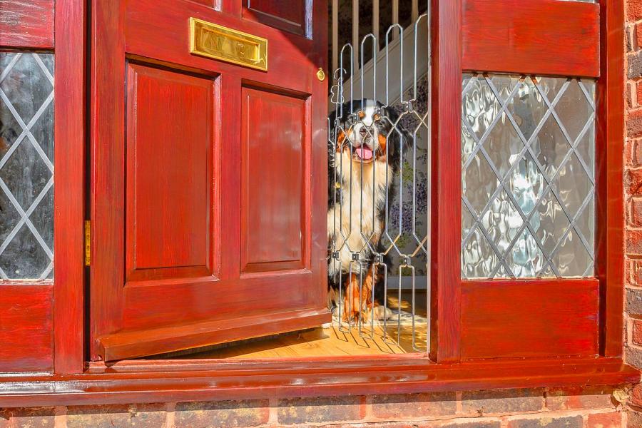 Front door dog outlet guard