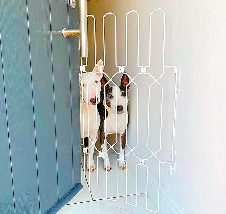 Front Door Dog Gate - Dog G8