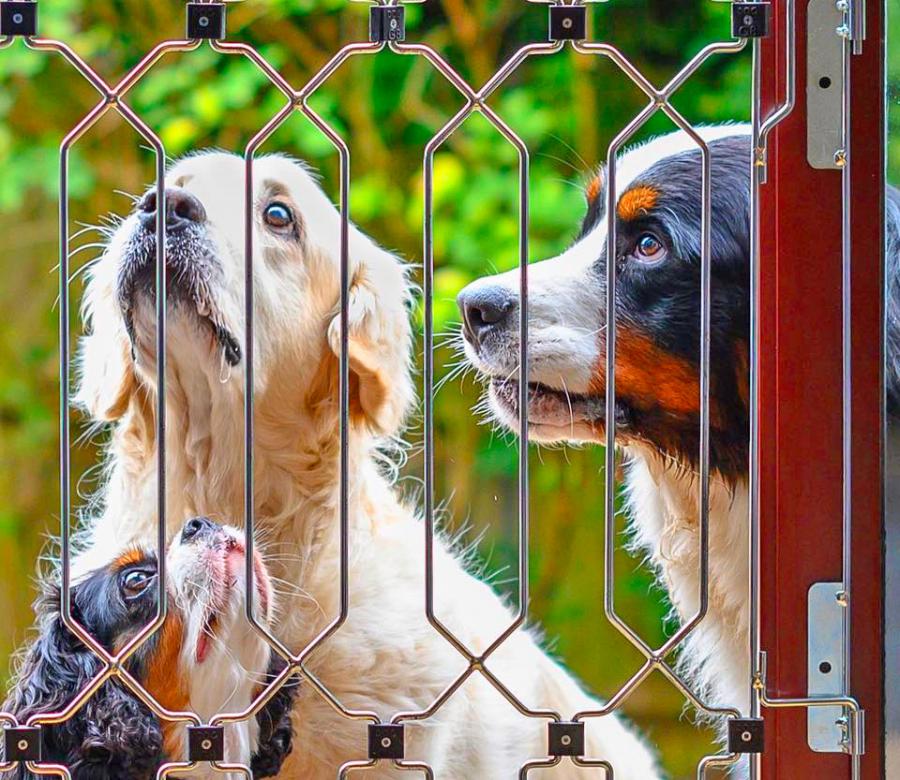 Front Door Dog Gate - Dog G8