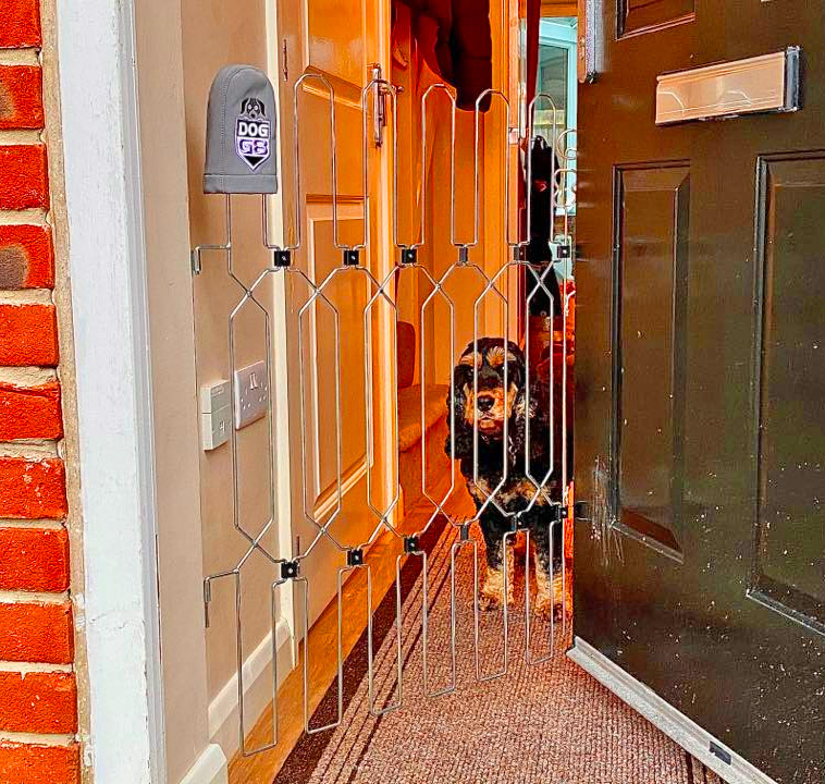 Front Door Dog Gate - Dog G8