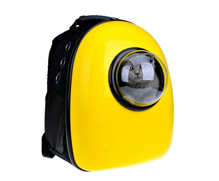 cat backpack bubble window