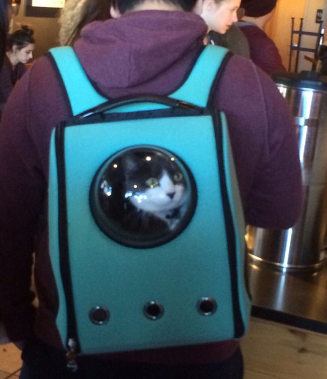 U-Pet Cat Bag - Bubble Window Cat Travel Bag