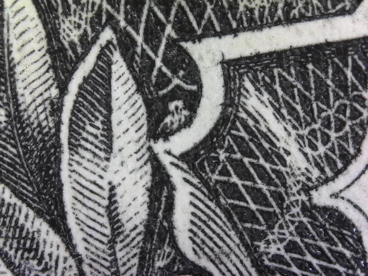 Magnified Owl On 1 Dollar Bill