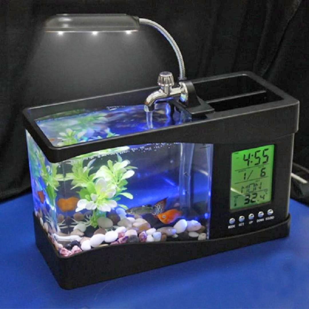 Este mini acuario USB es ideal para relajarte mientras trabajas o estudias.