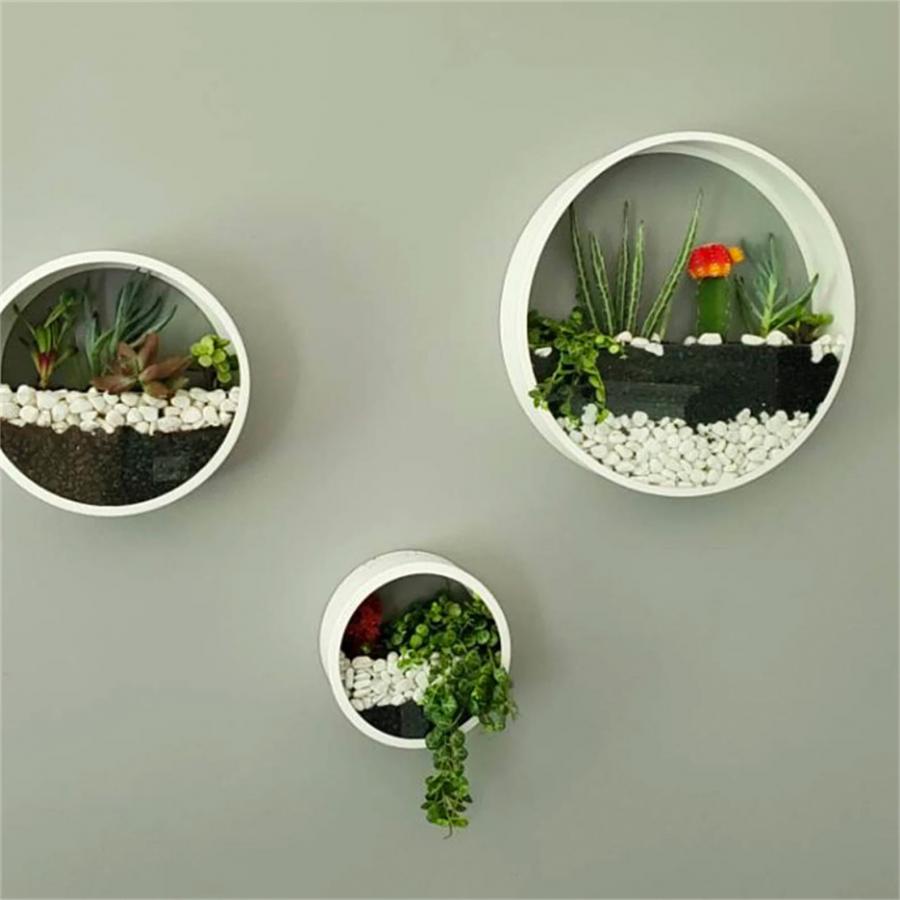 Wall Mounted Circular Terrariums