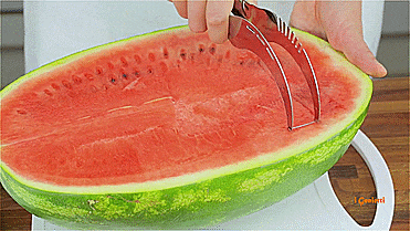 Watermelon Corer And Server - iGenietti Watermelon Slicer/server