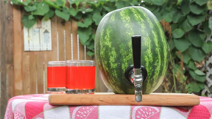 Watermelon Keg Tap - Kegworks Keg Tap Turns Any Watermelon Into a Drink Dispenser