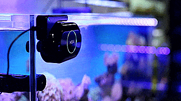 MOAI: A Robotic Camera and Cleaner For Your Aquarium - Best chore cleaning robot