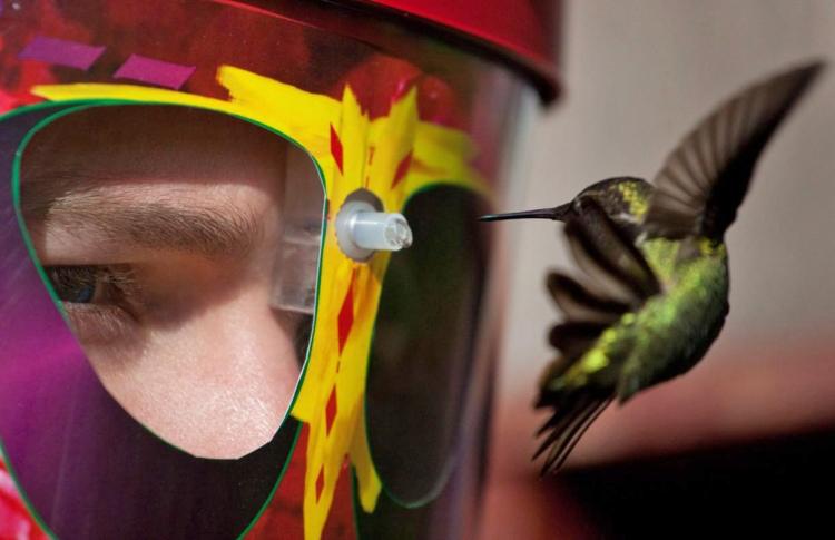 Wearable Hummingbird Feeder Mask