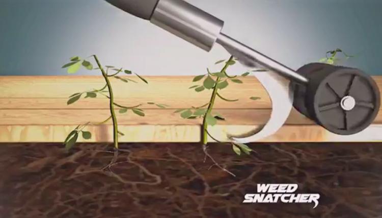 Weed Snatcher Rolling Tool Easily Removes Weeds From Cracks