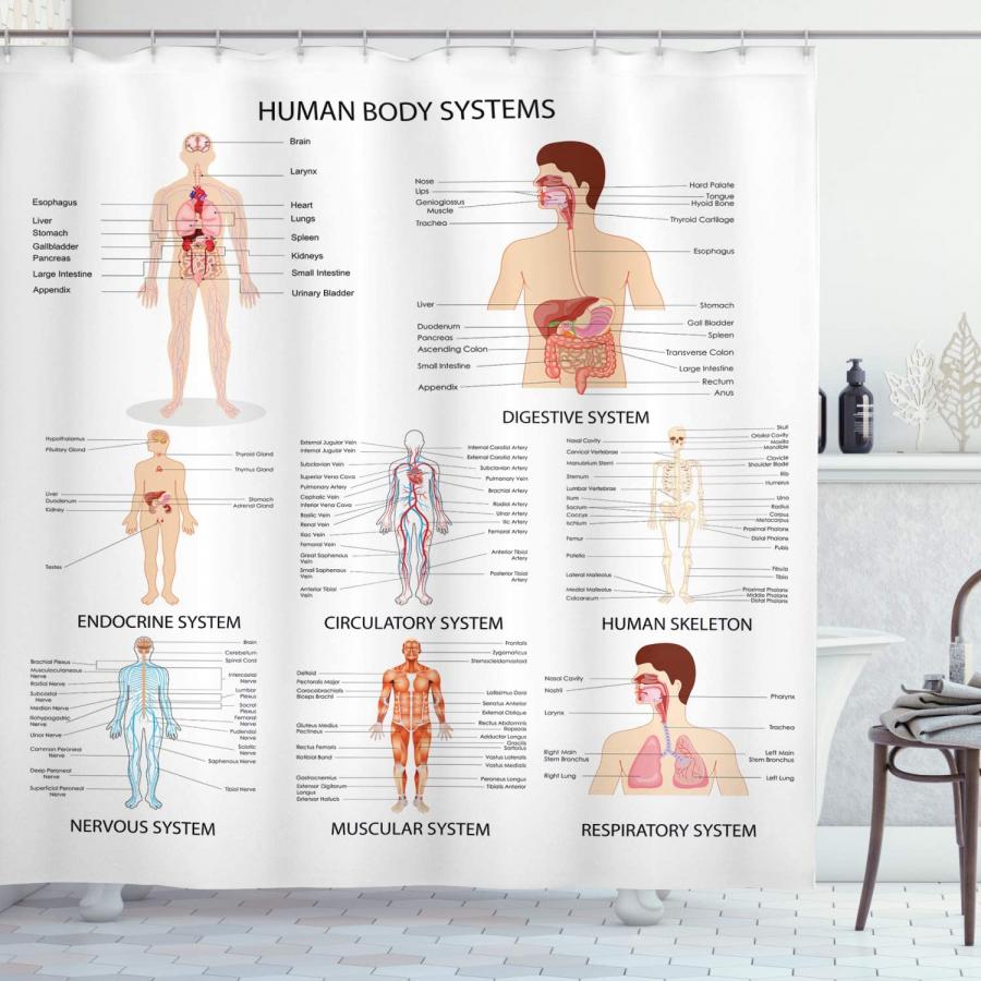 human anatomy shower curtain