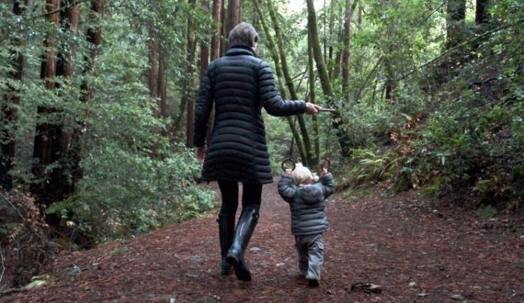 Willa Walker Walking Rings Set - Helps Toddlers Learn To Walk