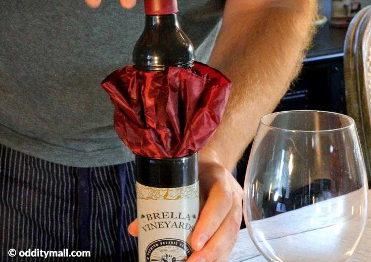 Wine bottle umbrella - Secret umbrella hidden inside fake wine bottle