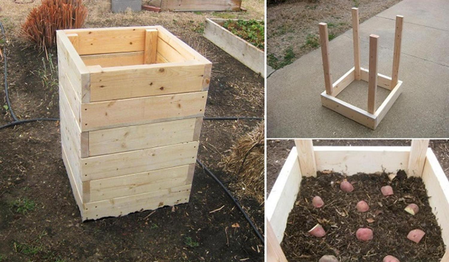 This Wooden Potato Planter Has a Door To Easily Access