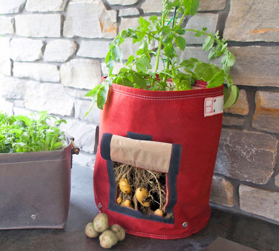 Canvas Potato Planter With a Door/flap to easily access your homegrown potatoes