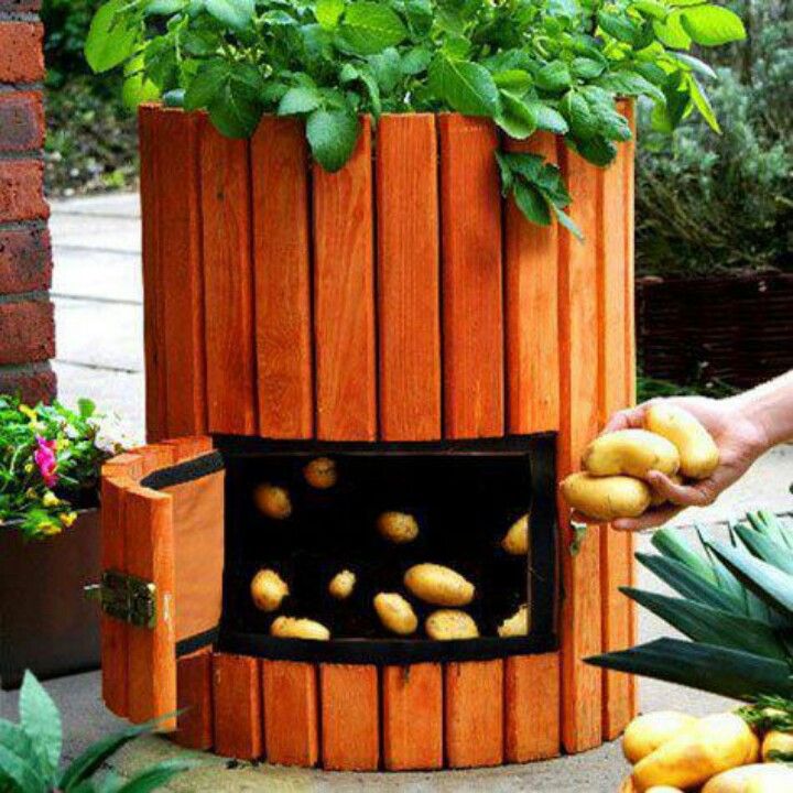 Wooden Potato Planter With a Door - DIY Wooden potato planter plans