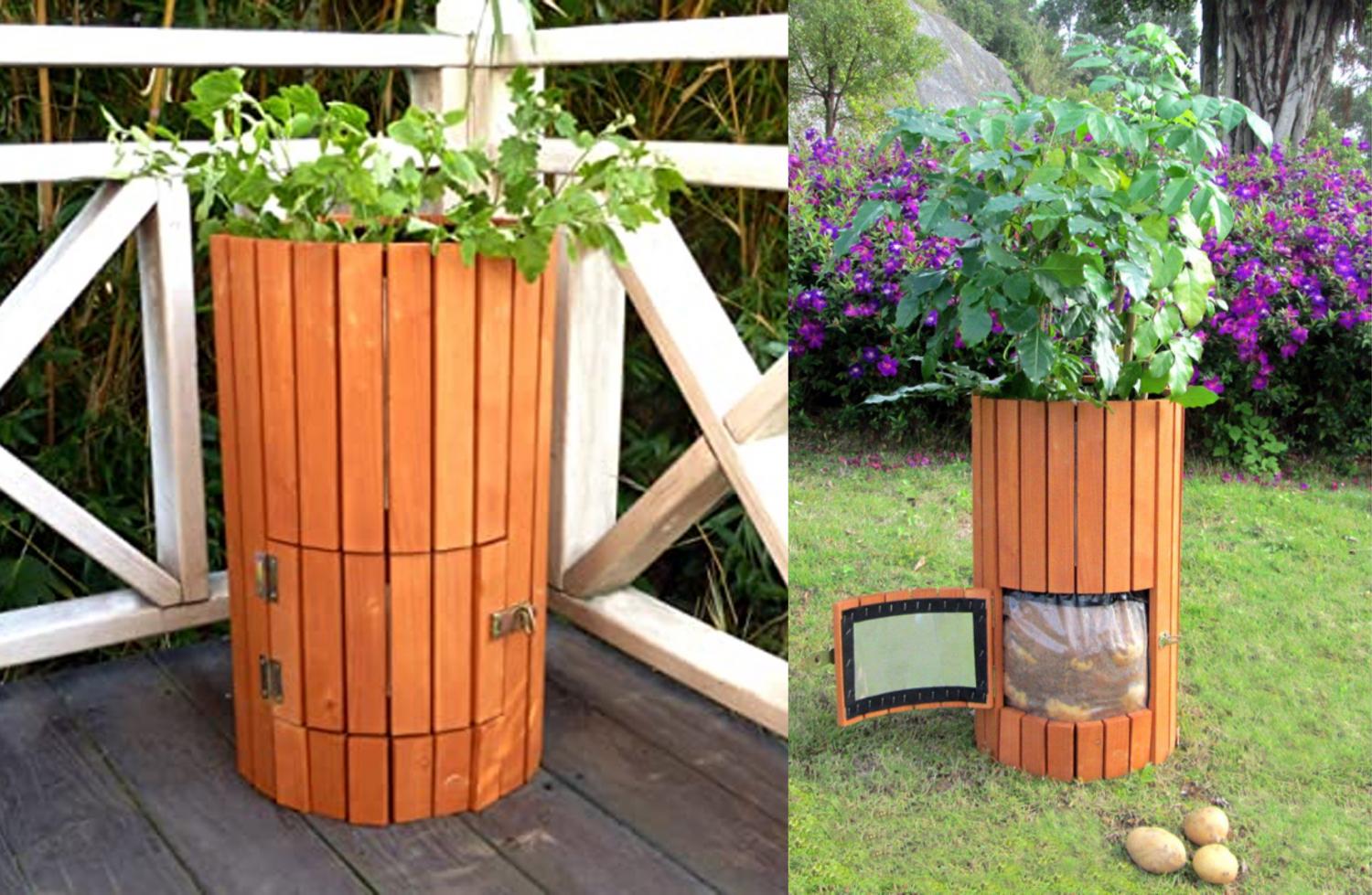 This Wooden Potato Planter Has a Door To Easily Access Your Home-Grown ...