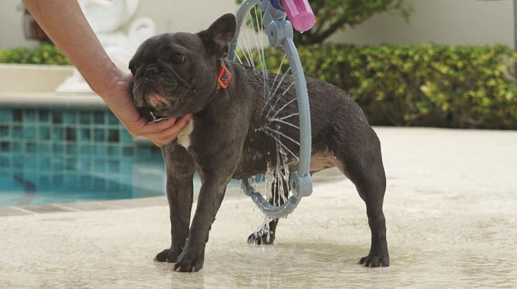 Woof Washer 360 - Circular Dog Washer - Loop Dog bath is the easiest dog bath ever