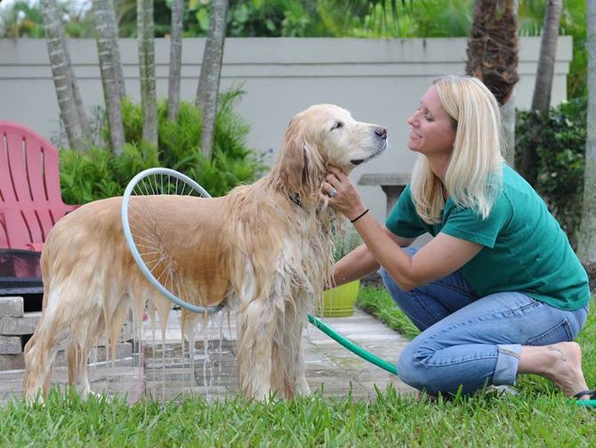 Woof Washer 360 - Circular Dog Washer - Loop Dog bath is the easiest dog bath ever