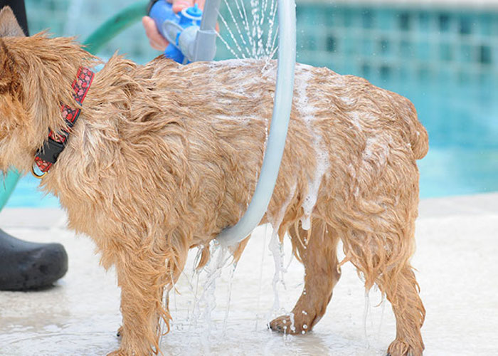 Woof Washer 360 - Circular Dog Washer - Loop Dog bath is the easiest dog bath ever