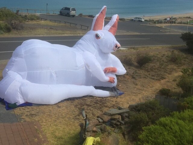 Giant inflatable ruby roo - Evelyn Roth