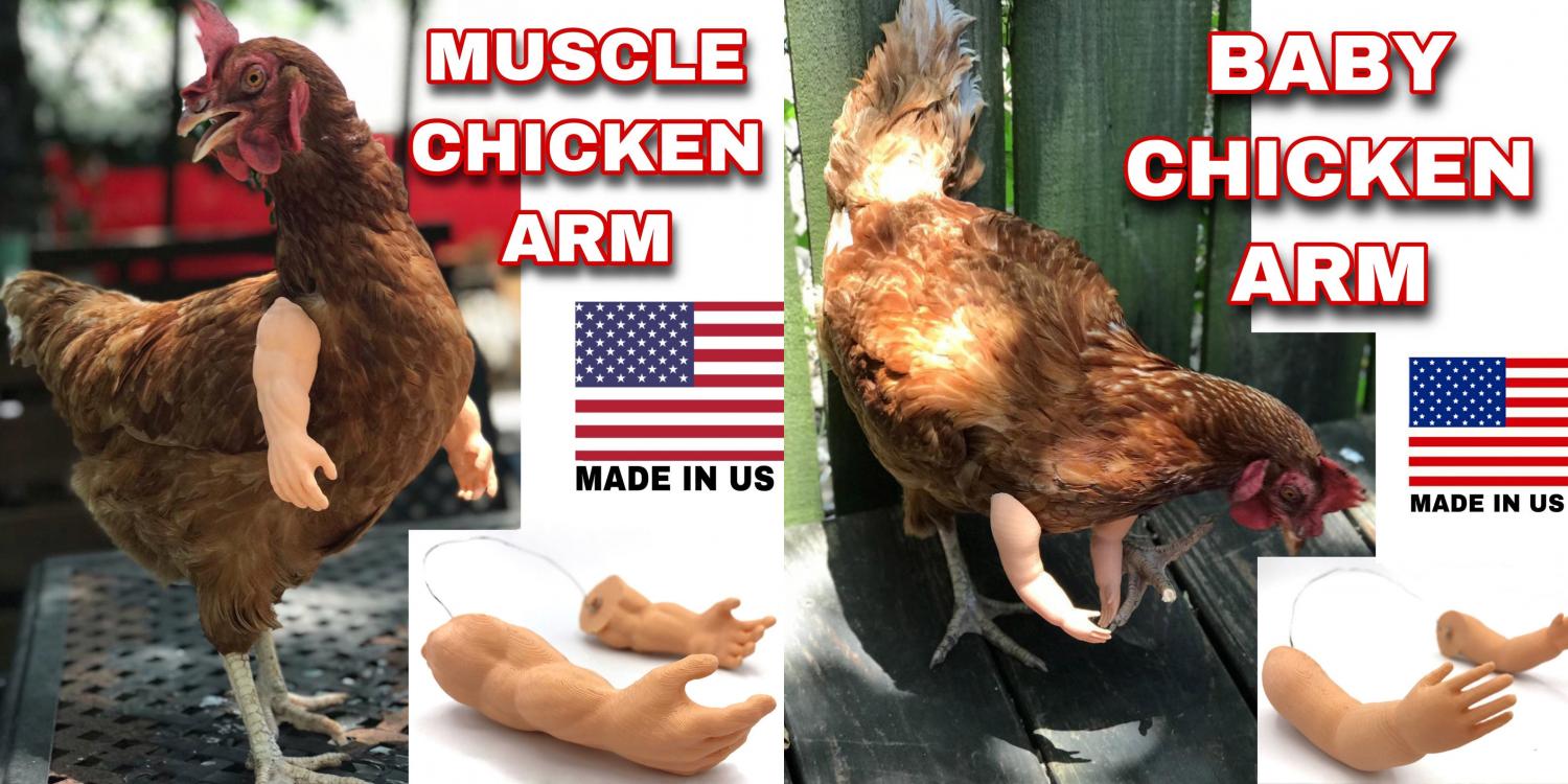 Muscle Chicken Arms Gag Chicken Arms for Chicken To Wear Muscle